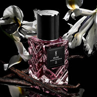 YSL Muse extrait de parfum bottle with white flowers and vanilla pods on black background.