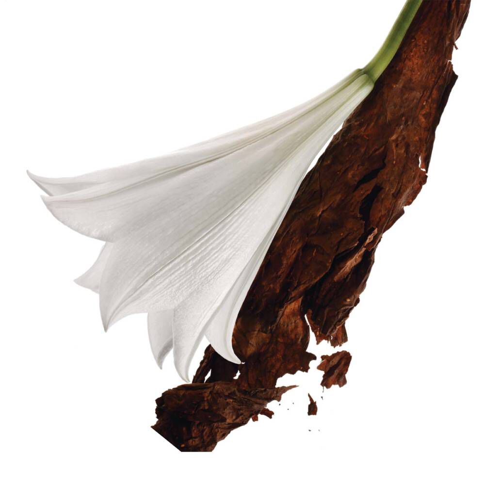 Mon Paris Eau De Parfum