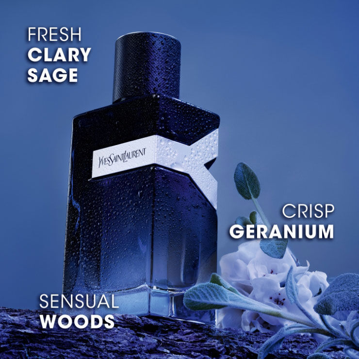 YSL Y Eau de Parfum bottle with clary sage, geranium, and sensual woods – highlighting its fresh and aromatic fragrance composition