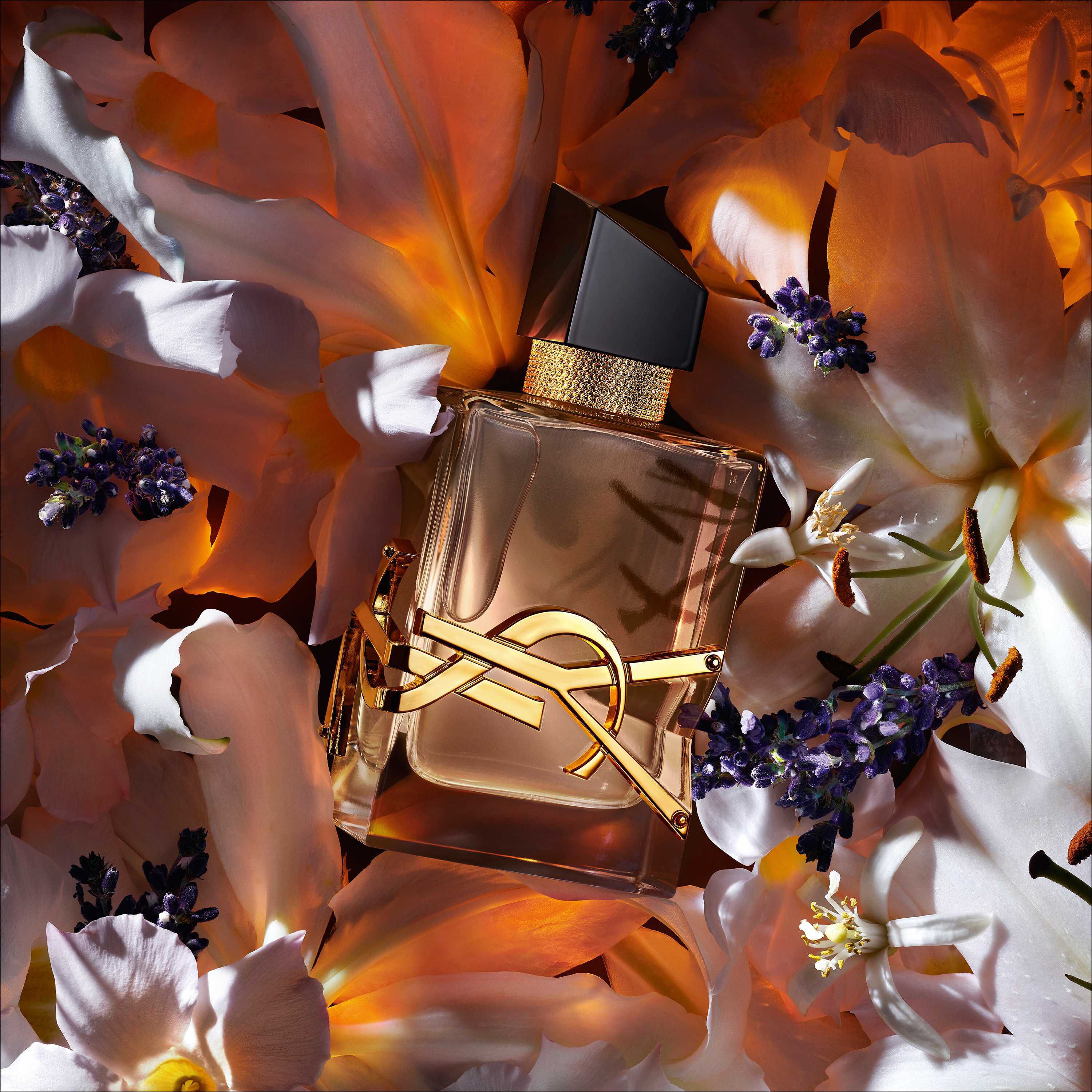 Sites-ysl-my-ng-Site