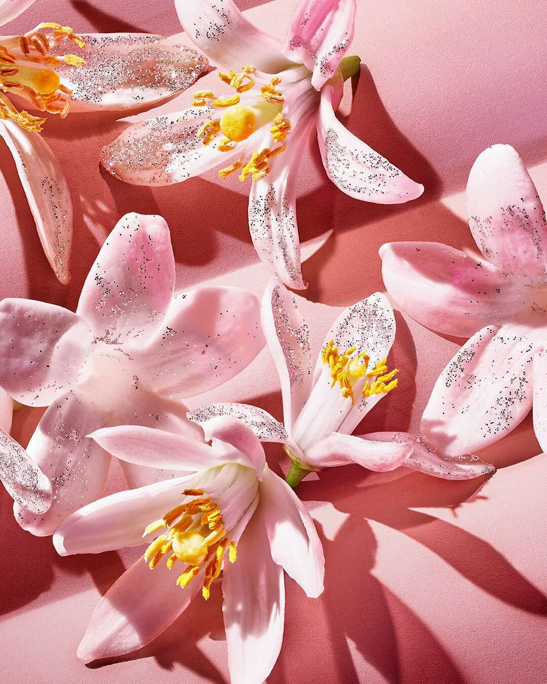 Delicate white flowers highlighting the floral heart of YSL Black Opium Glitter