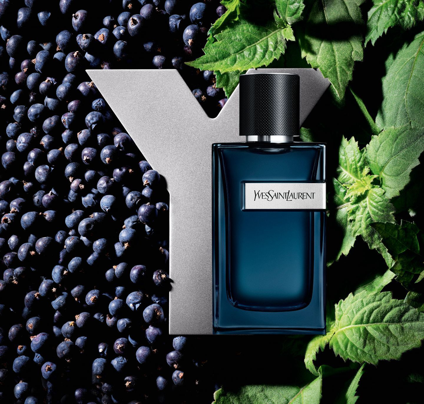DISCOVER THE LEGENDARY LONG-LASTING Y SCENTS BY YSL BEAUTY.