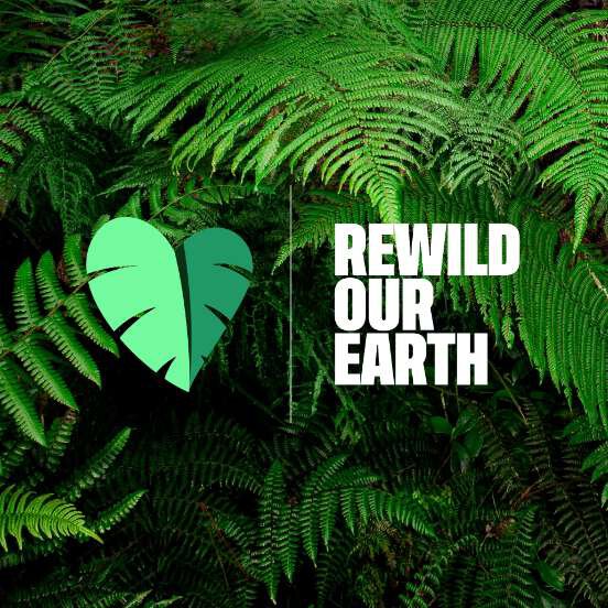 Rewild our earth banner