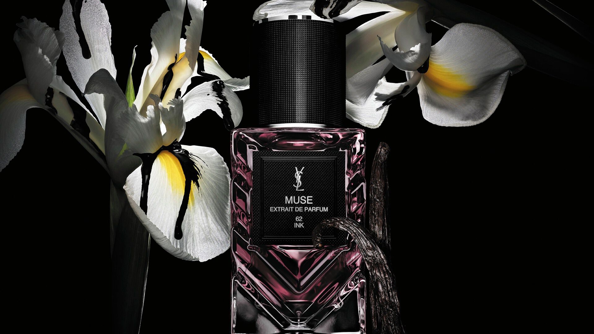 YSL Muse extrait de parfum bottle with white flowers and vanilla pods on black background.