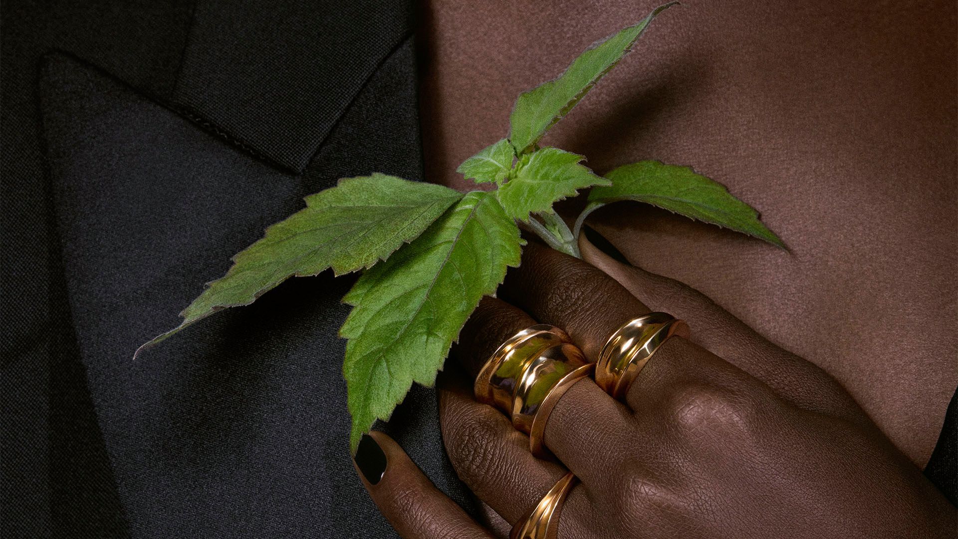 A hand with bold gold rings and dark nails cradles a vibrant green
sprig, reflecting the refined elegance of YSL's Tuxedo fragrance.