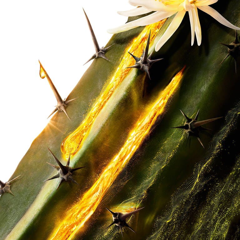 YSL Pure Shots Moonlight Cactus, a key ingredient, with a white flower and golden essence flowing down the stem.