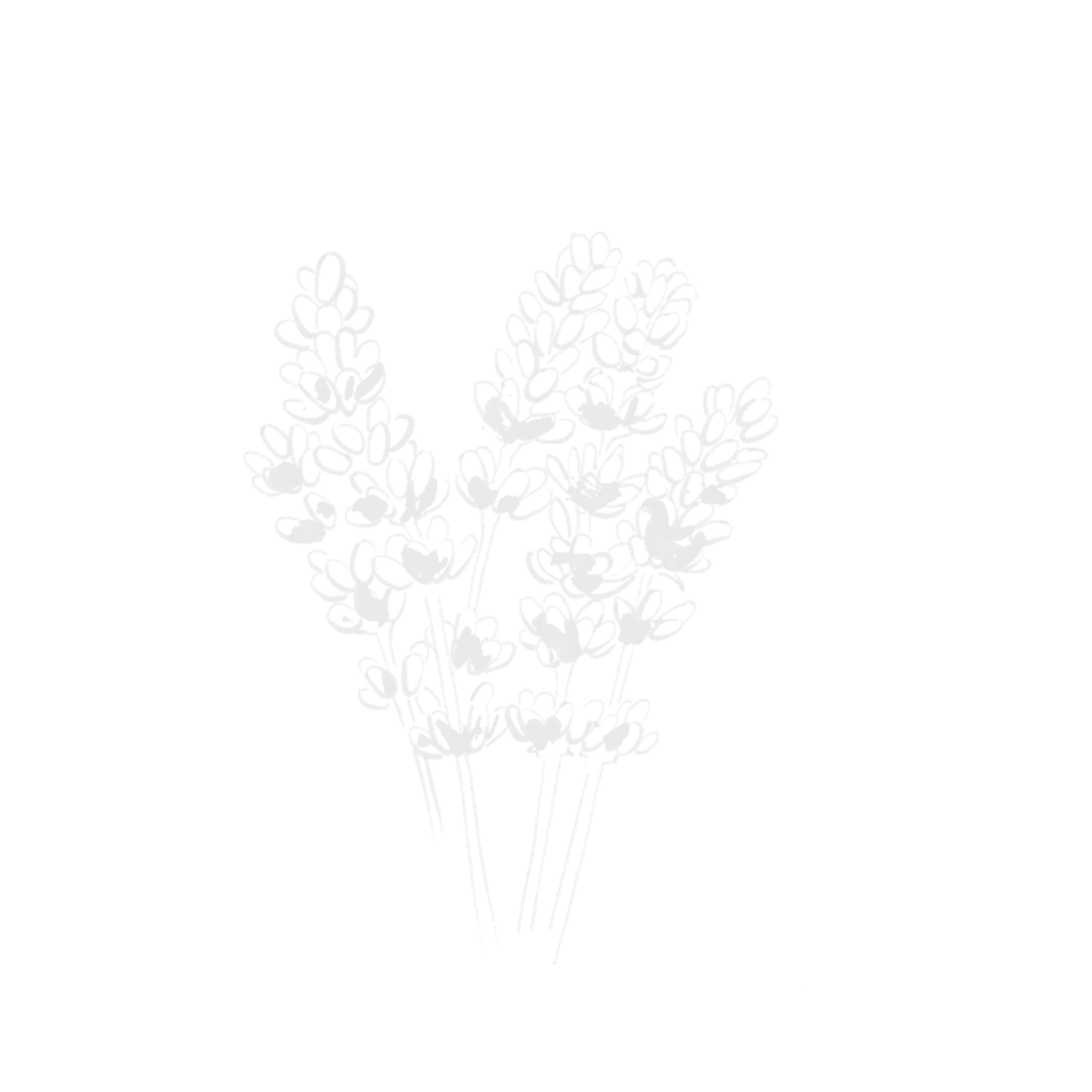 Abstract graphic representing the rich Ourika Saffron Accord, a key ingredient in YSL Le Vestiaire des Parfums Extrait.