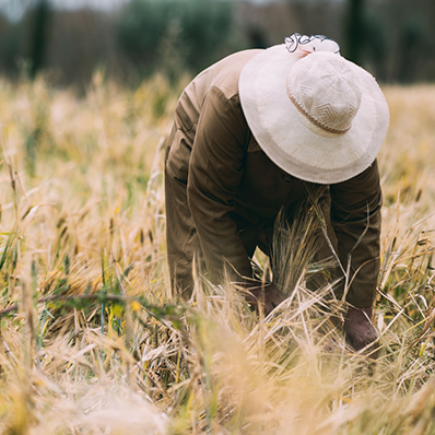 person working in fields